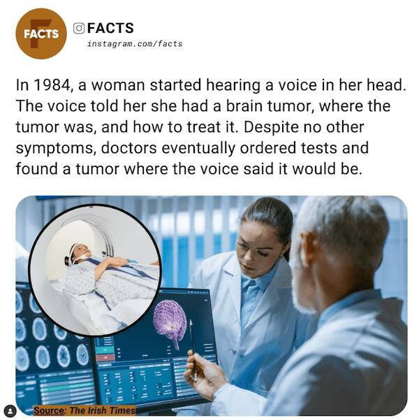 Unexpected Knowledge Bombs: Insane Facts That Will Leave You Awestruck