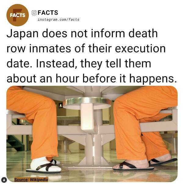 Unexpected Knowledge Bombs: Insane Facts That Will Leave You Awestruck