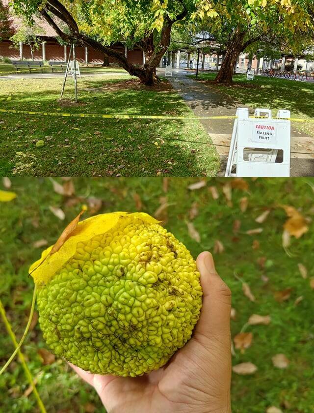 Ordinary Yet Awesome Pics Shared By People