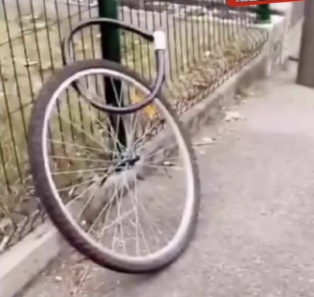 Daily Picdump [WEEKEND EDITION]