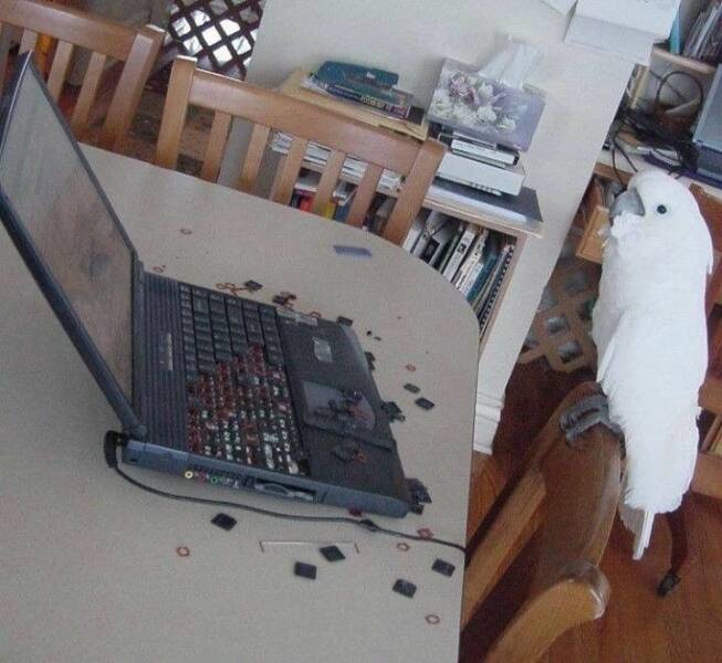 Daily Picdump [WEEKEND EDITION]