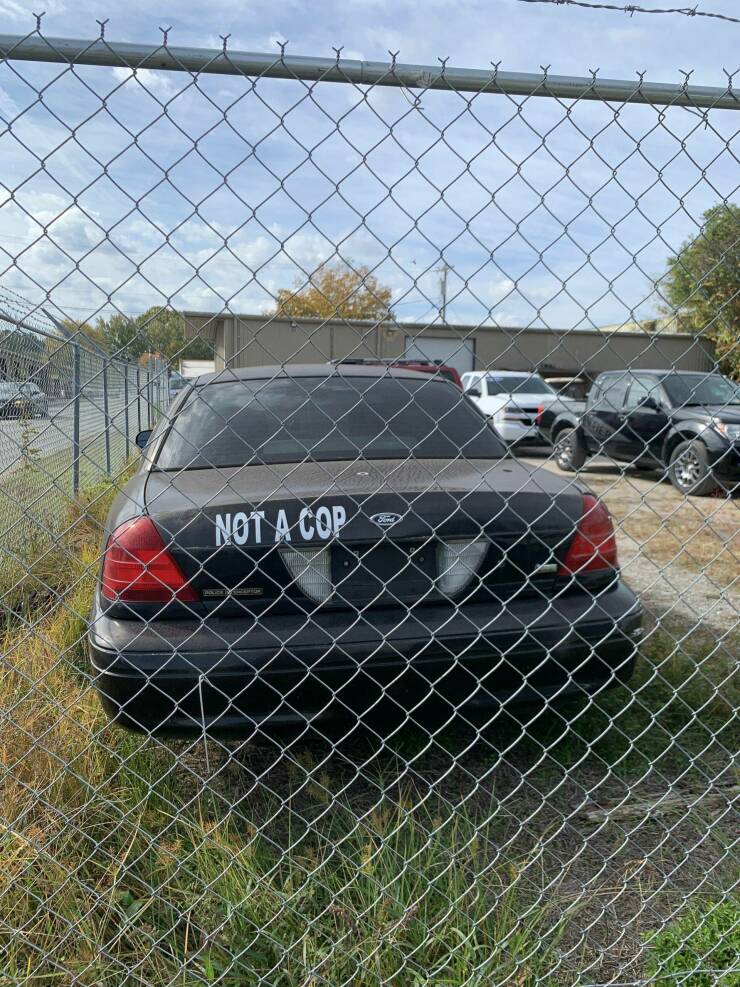 Daily Picdump [WEEKEND EDITION]