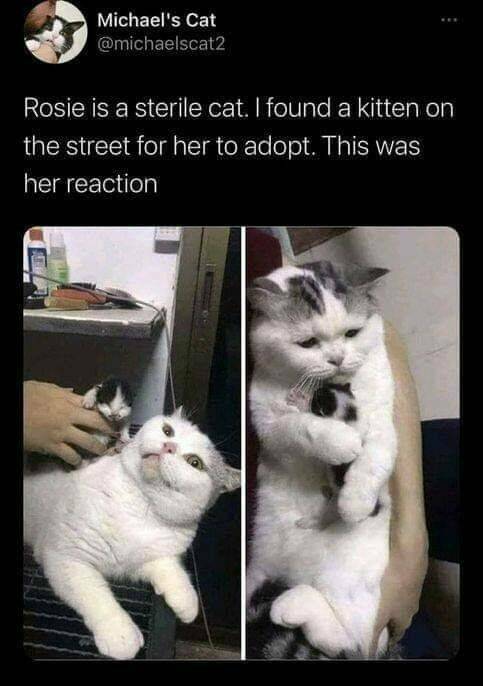 Daily Picdump [WEEKEND EDITION]