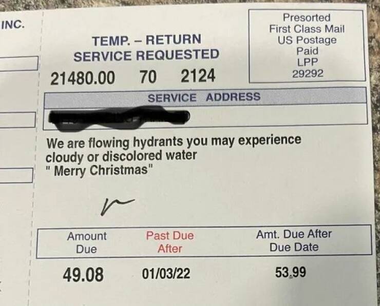 Laugh, Scream, Repeat: The Rollercoaster Of Celebratory Moments Laugh, Scream, Repeat: The Rollercoaster Of Celebratory Moments