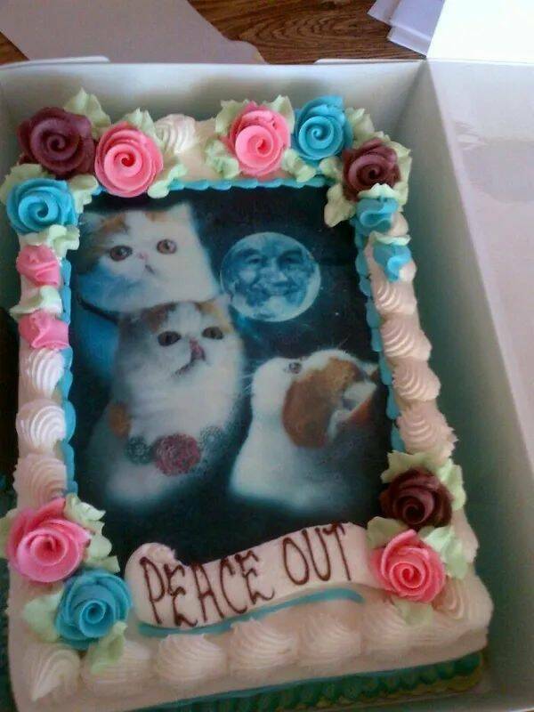 Laugh, Scream, Repeat: The Rollercoaster Of Celebratory Moments Laugh, Scream, Repeat: The Rollercoaster Of Celebratory Moments