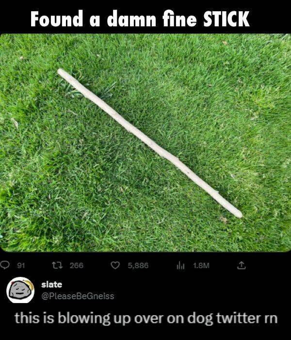 Too TRUE Memes For the Relaxed Soul