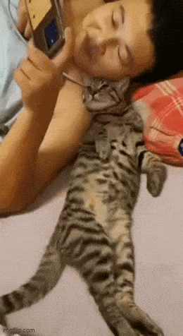 Daily Gifdump [WEEKEND EDITION]