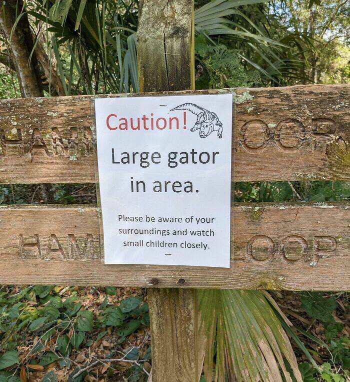 Showcasing Peoples Encounters With Threatening Signs