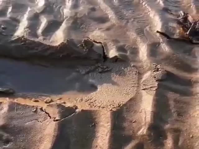 Dont Sit On The Sand