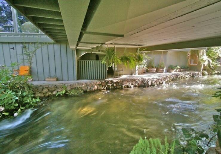 Eccentric Living Spaces: Homes That Stand Out From The Norm