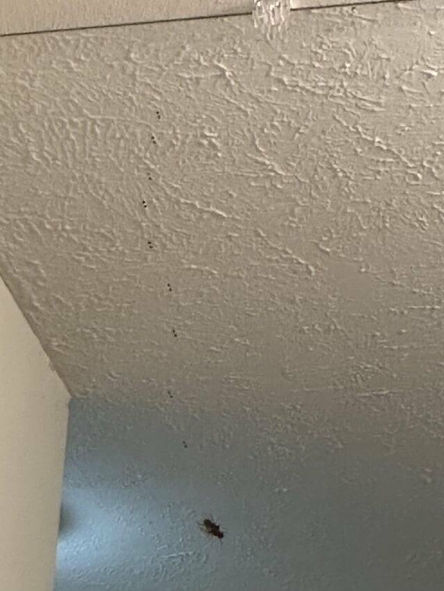 Mildly Fascinating: Awesome Pictures Worth A Glance