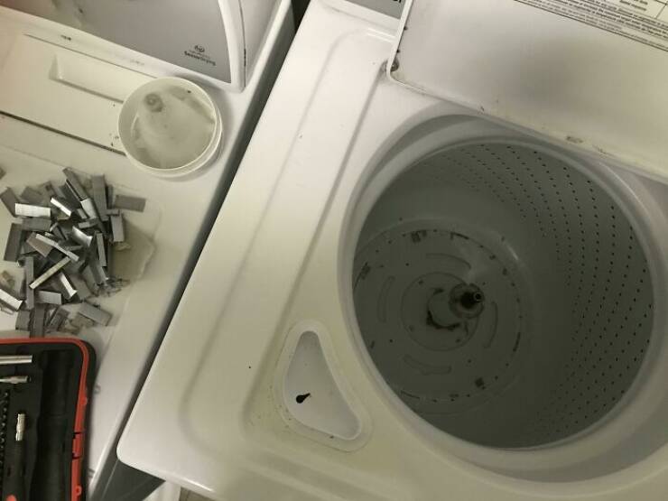 Laundry Adventures Gone Awry: Unpredictable And Exciting Incidents