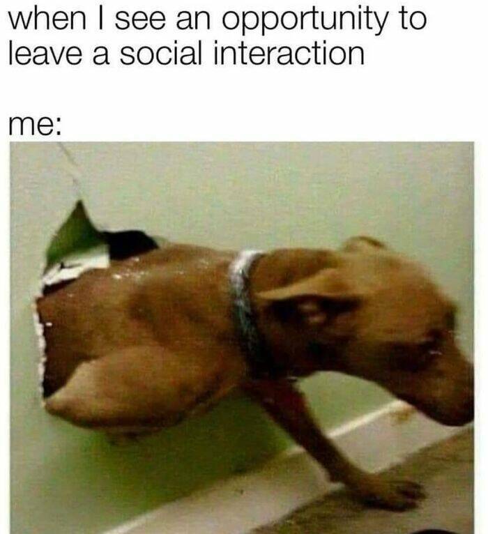 Introverts Haven: Memes For Unwinding After Social Interactions
