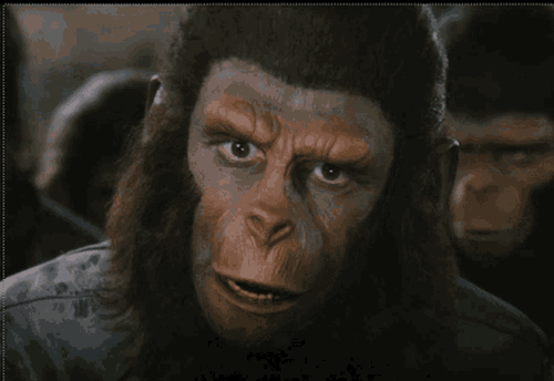 Parallel Histories: Overlapping Events That Boggle The Mind