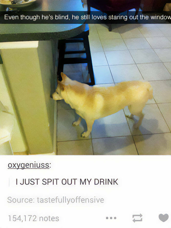 Laughing At Life: Memes That Nail Everyday Struggles Laughing At Life: Memes That Nail Everyday Struggles