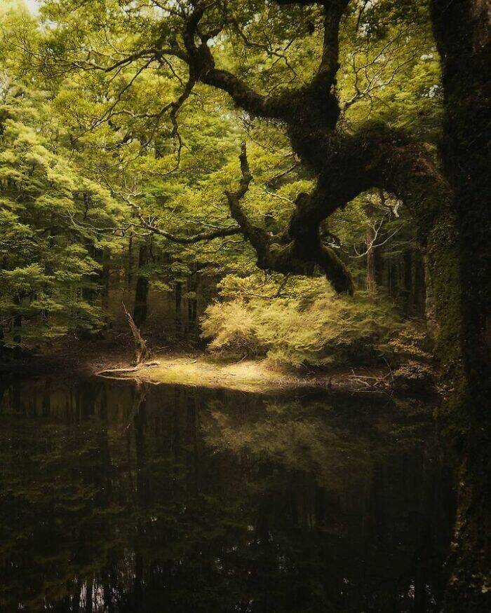 Natures Spectacular Show: Stunning Images Of Mother Earth