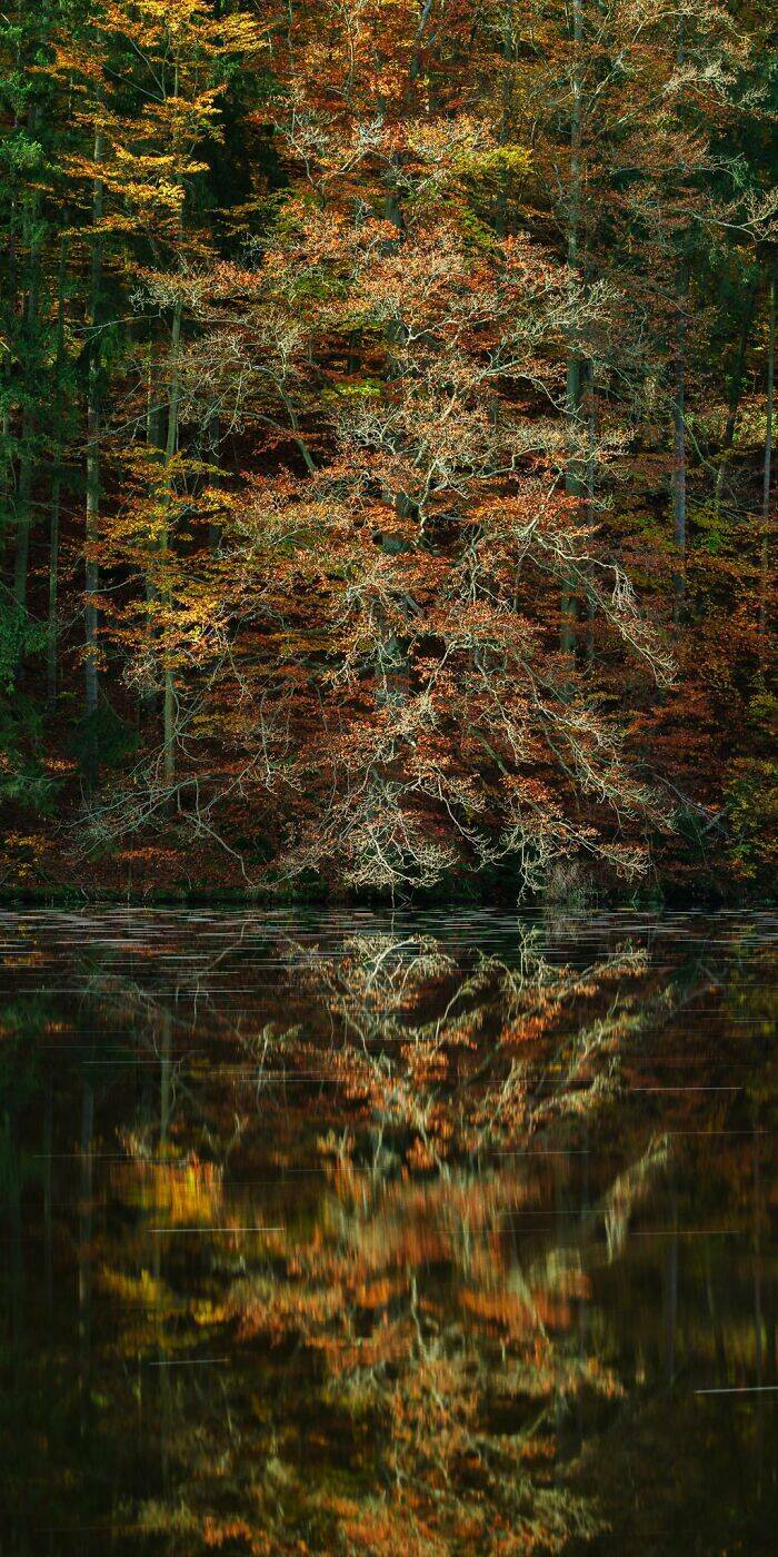 Natures Spectacular Show: Stunning Images Of Mother Earth