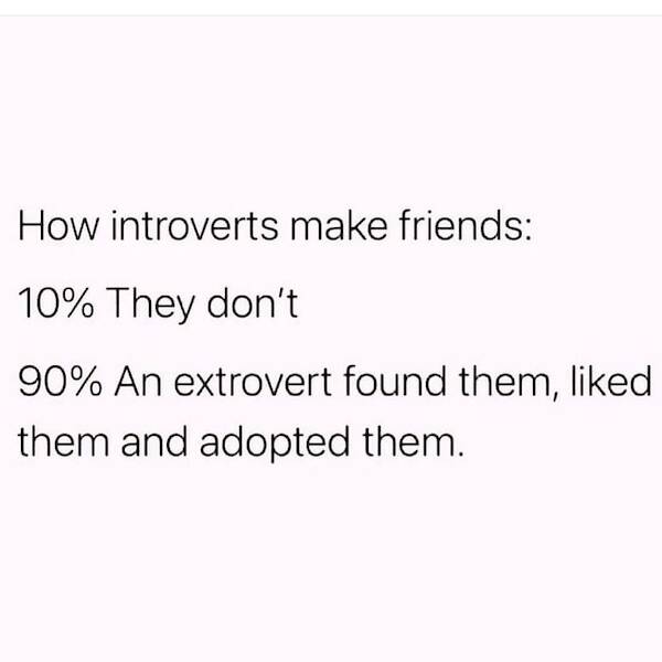 Avoidance Mastery: Memes For The Skilled Introvert