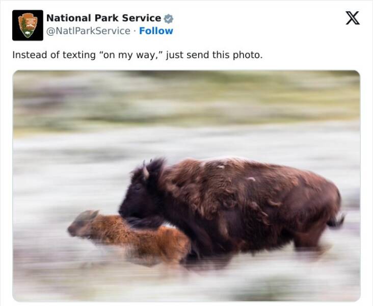 Natures Comedy: National Park Services Social Media Genius