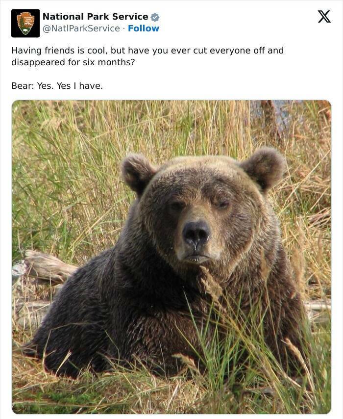 Nature Natures Comedy: National Park Services Social Media Genius