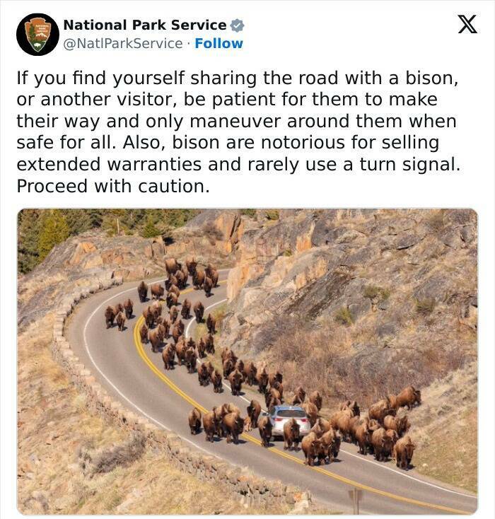 Natures Comedy: National Park Services Social Media Genius