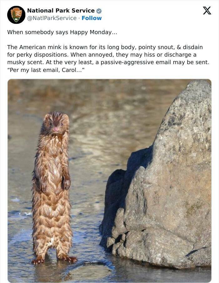 Nature Natures Comedy: National Park Services Social Media Genius