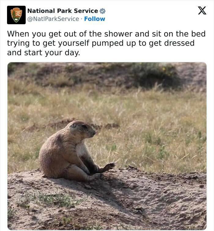 Nature Natures Comedy: National Park Services Social Media Genius