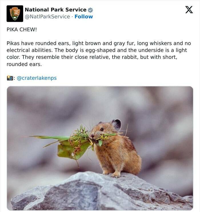 Nature Natures Comedy: National Park Services Social Media Genius