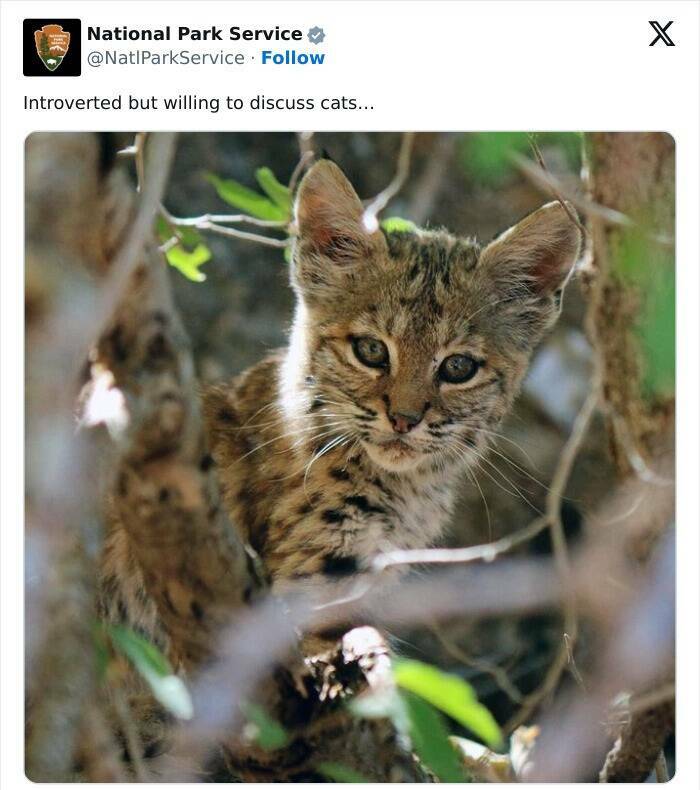 Nature Natures Comedy: National Park Services Social Media Genius