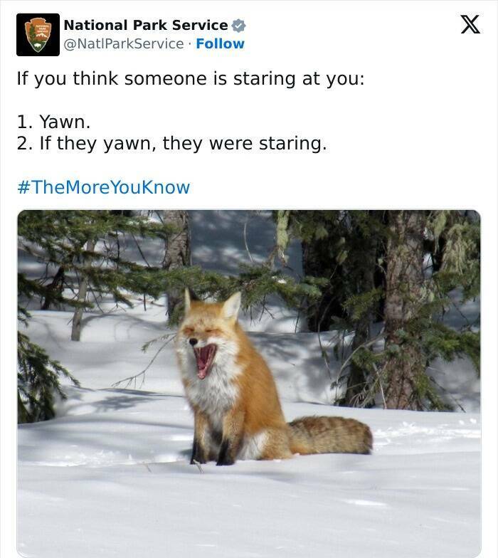 Nature Natures Comedy: National Park Services Social Media Genius