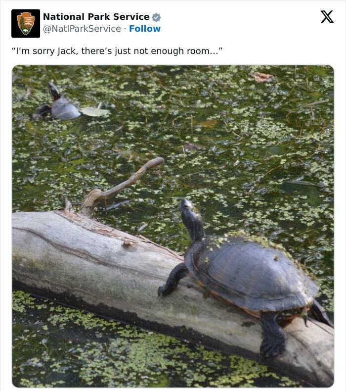 Nature Natures Comedy: National Park Services Social Media Genius