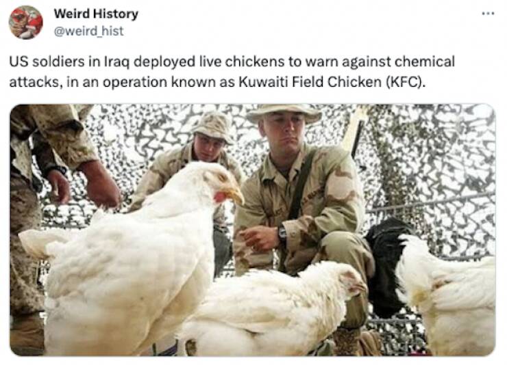 Jaw-Dropping Historical Trivia: The Most Bizarre And Unexpected Facts