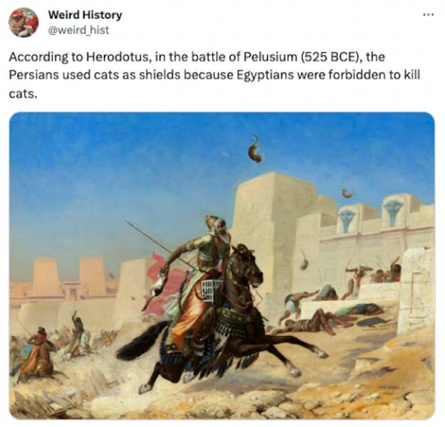 Jaw-Dropping Historical Trivia: The Most Bizarre And Unexpected Facts