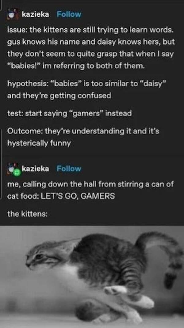 Gaming Humor: Memes That Level Up The Laughs Gaming Humor: Memes That Level Up The Laughs