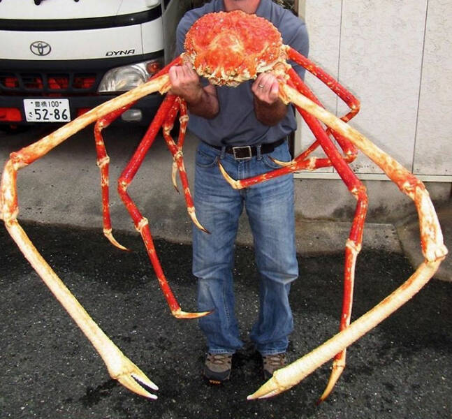 Oceanic Nightmares: Unveiling The Scariest Encounters Beneath The Waves