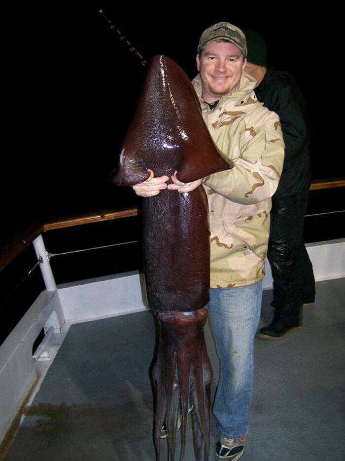 Oceanic Nightmares: Unveiling The Scariest Encounters Beneath The Waves