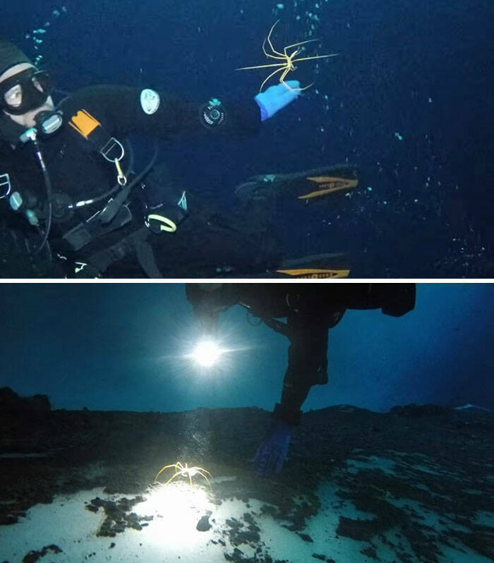 Oceanic Nightmares: Unveiling The Scariest Encounters Beneath The Waves