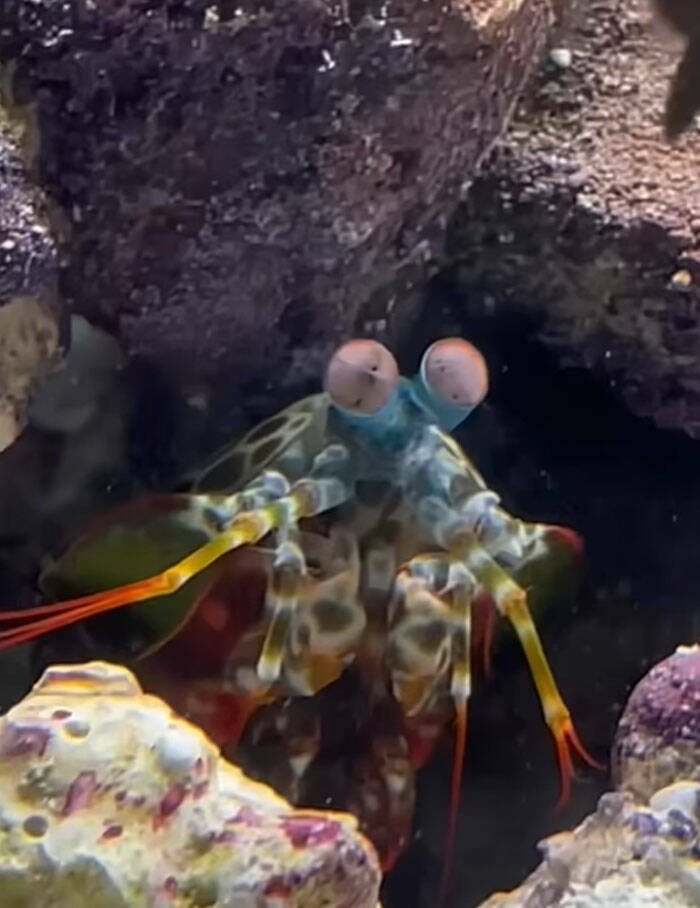 Oceanic Nightmares: Unveiling The Scariest Encounters Beneath The Waves