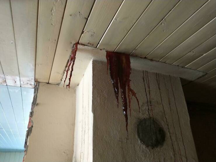 Peek Into Absurdity: Home Inspectors Tales Of Bizarre Discoveries