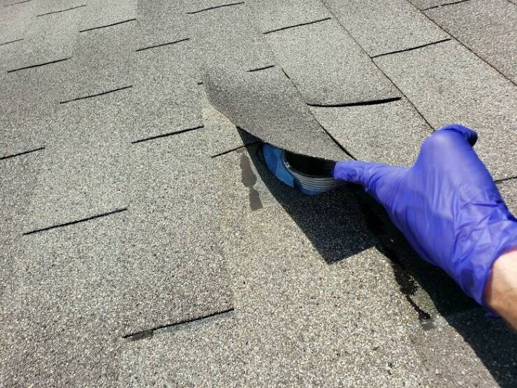 Peek Into Absurdity: Home Inspectors Tales Of Bizarre Discoveries