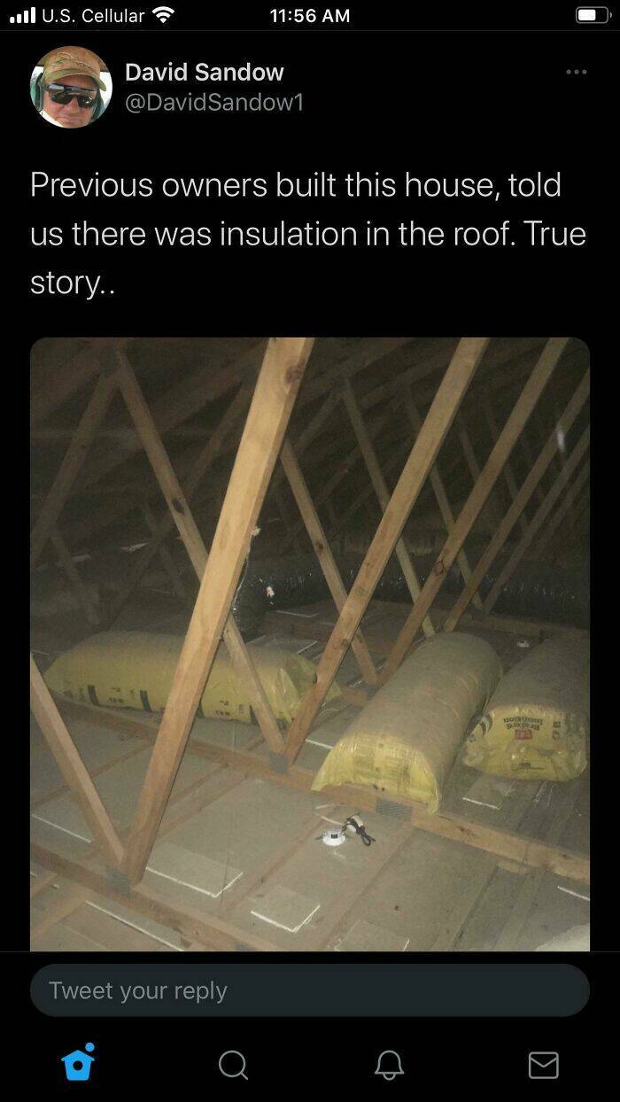 Peek Into Absurdity: Home Inspectors Tales Of Bizarre Discoveries