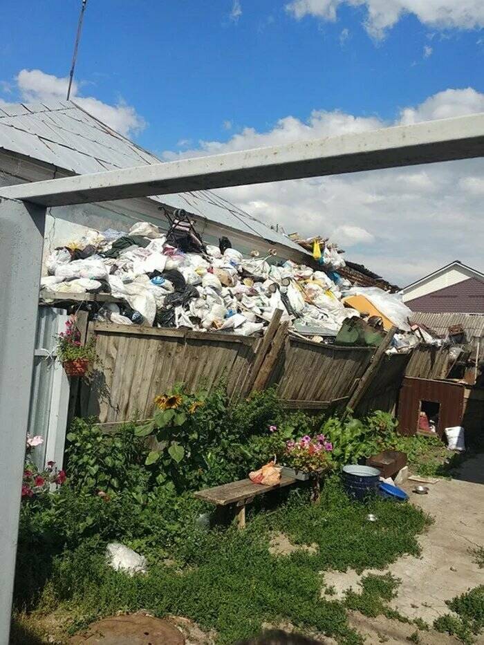 Peek Into Absurdity: Home Inspectors Tales Of Bizarre Discoveries