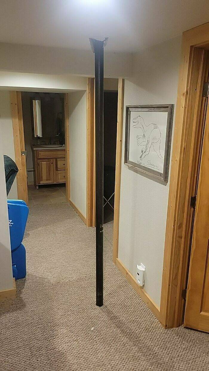 Peek Into Absurdity: Home Inspectors Tales Of Bizarre Discoveries