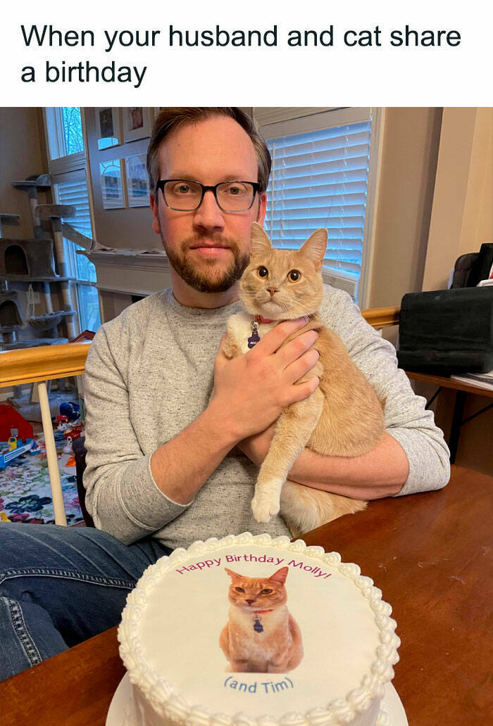 Purr-fectly Hilarious: Cat Memes For A Laugh Purr-fectly Hilarious: Cat Memes For A Laugh