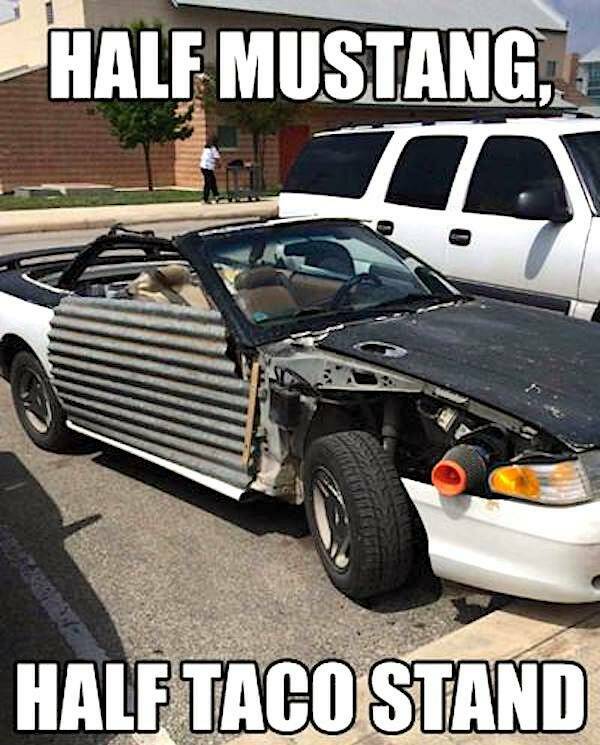 Backyard Adventures: DIY Rides From The REDNECK Riviera