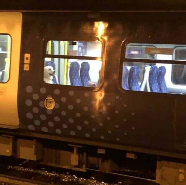 Quirky Commutes: Weird And Funny Sights Seen On The Subway