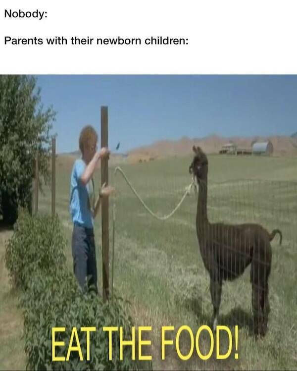 Toddler Tales: The Uncharted Realm Of Parenting Adventures Toddler Tales: The Uncharted Realm Of Parenting Adventures