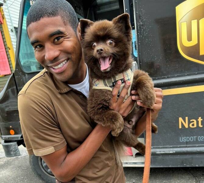 Paws And Packages: UPS Couriers Heartwarming Doggy Selfie Journey