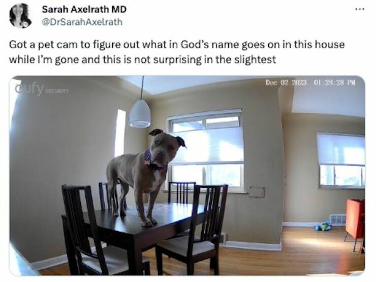 Tweeting With Humor: Top Picks Of The Week Tweeting With Humor: Top Picks Of The Week