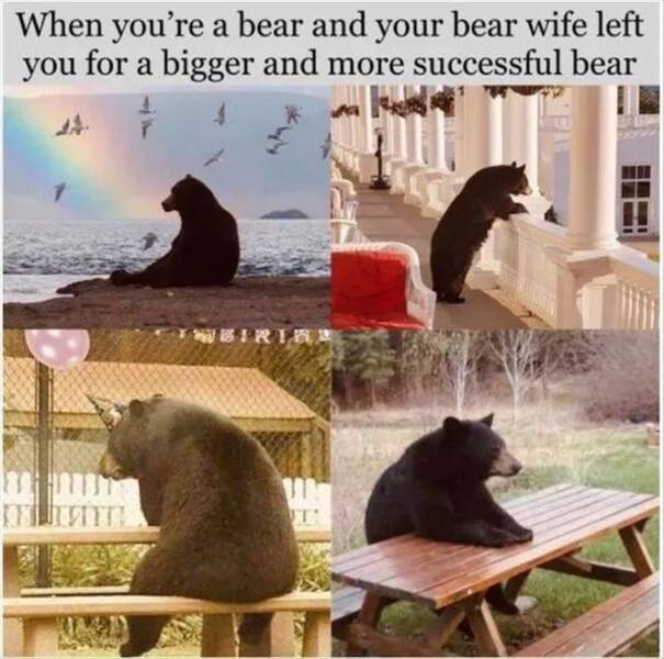 Funny Picdump Funny Picdump
